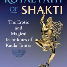 The Royal Path of Shakti