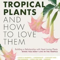 tropical plants