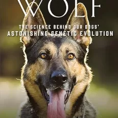 Once a Wolf