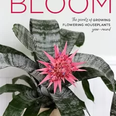 Bloom: The Secrets of Growing Flowering Houseplants