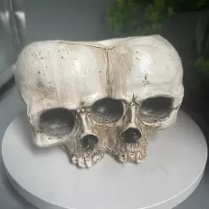 skull pot plant
