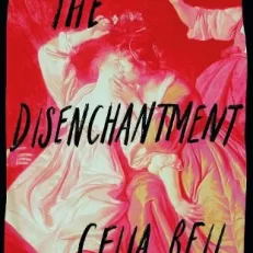The Disenchantment