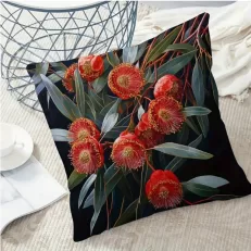 eucalyptus cushion