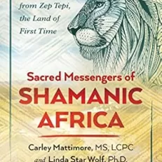 African Shamanism